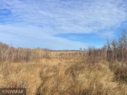 TBD 240th Street NW, Newfolden, MN 56738