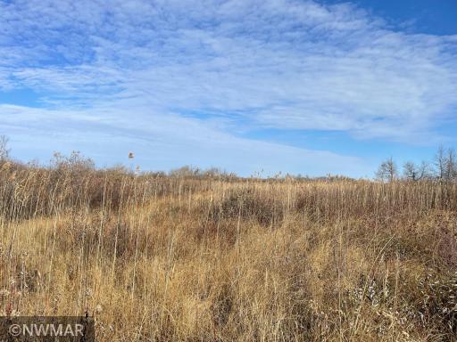 TBD 240th Street NW, Newfolden, MN 56738