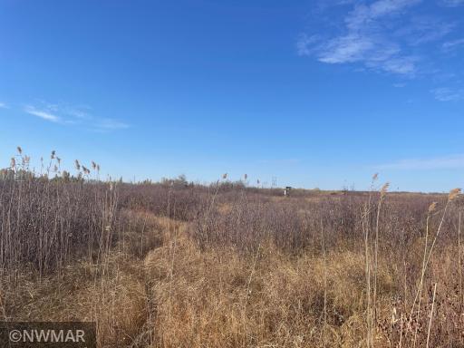 TBD 240th Street NW, Newfolden, MN 56738
