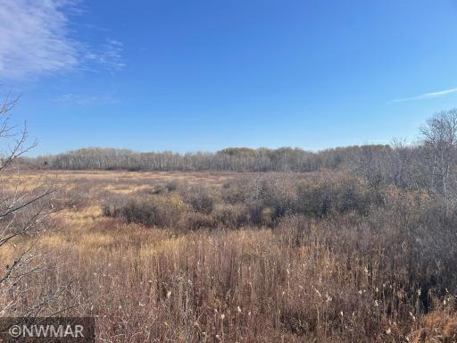 TBD 240th Street NW, Newfolden, MN 56738