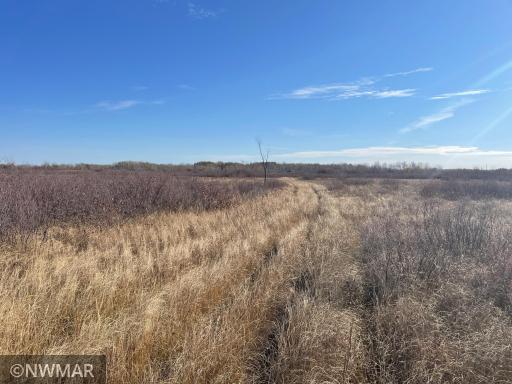 TBD 240th Street NW, Newfolden, MN 56738