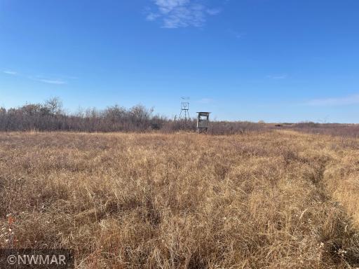 TBD 240th Street NW, Newfolden, MN 56738