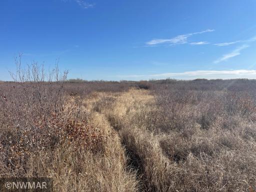 TBD 240th Street NW, Newfolden, MN 56738