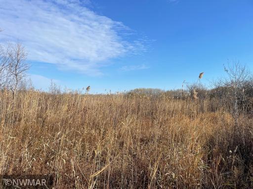 TBD 240th Street NW, Newfolden, MN 56738