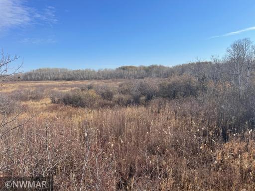 TBD 240th Street NW, Newfolden, MN 56738