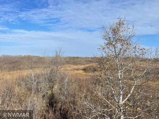 TBD 240th Street NW, Newfolden, MN 56738