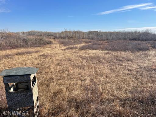 TBD 240th Street NW, Newfolden, MN 56738