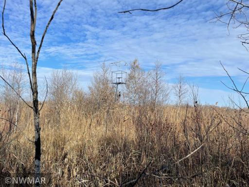 TBD 240th Street NW, Newfolden, MN 56738