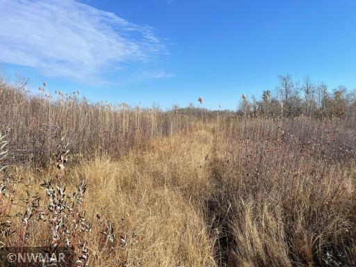 TBD 240th Street NW, Newfolden, MN 56738