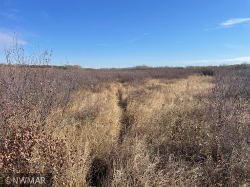 TBD 240th Street NW, Newfolden, MN 56738