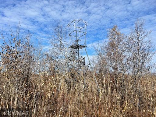 TBD 240th Street NW, Newfolden, MN 56738