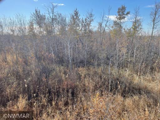 TBD 240th Street NW, Newfolden, MN 56738