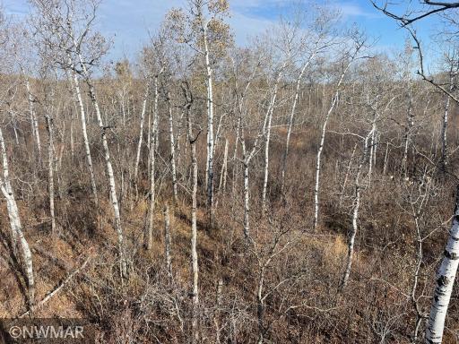 TBD 240th Street NW, Newfolden, MN 56738