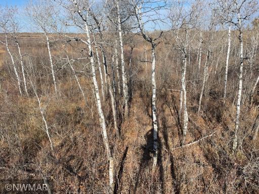 TBD 240th Street NW, Newfolden, MN 56738