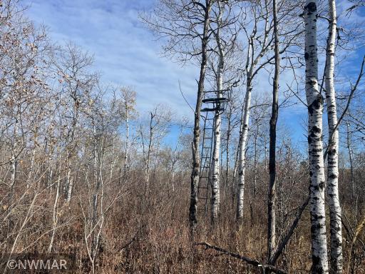 TBD 240th Street NW, Newfolden, MN 56738