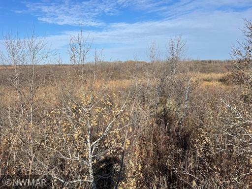 TBD 240th Street NW, Newfolden, MN 56738