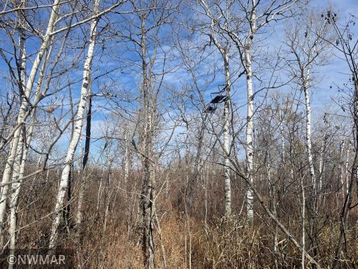TBD 240th Street NW, Newfolden, MN 56738