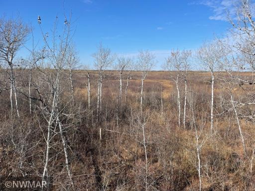 TBD 240th Street NW, Newfolden, MN 56738