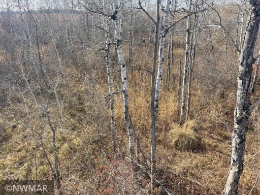 TBD 240th Street NW, Newfolden, MN 56738