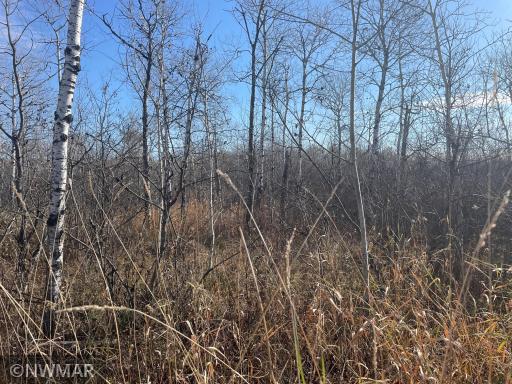 TBD 240th Street NW, Newfolden, MN 56738