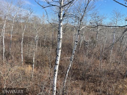 TBD 240th Street NW, Newfolden, MN 56738