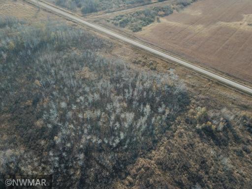 TBD 240th Street NW, Newfolden, MN 56738