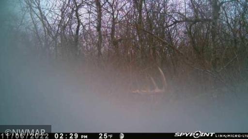 TBD 240th Street NW, Newfolden, MN 56738