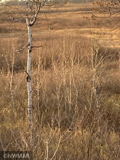 TBD 240th Street NW, Newfolden, MN 56738
