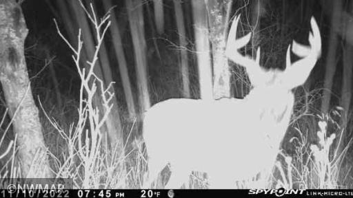 TBD 240th Street NW, Newfolden, MN 56738