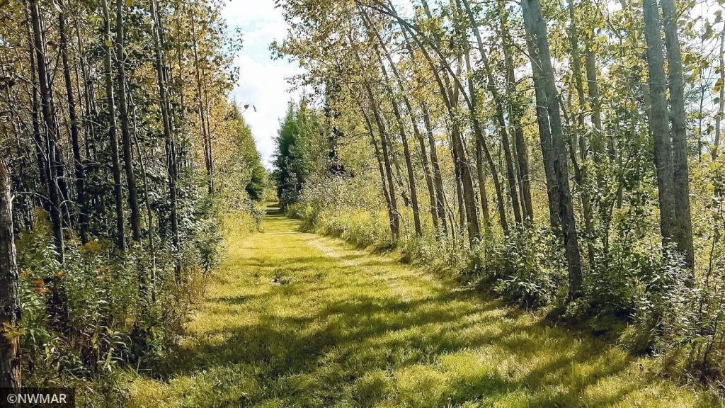 1319 53rd Avenue NW, Williams, MN 56686