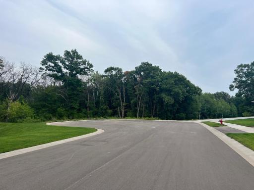 19549 York Drive NW, Elk River, MN 55330