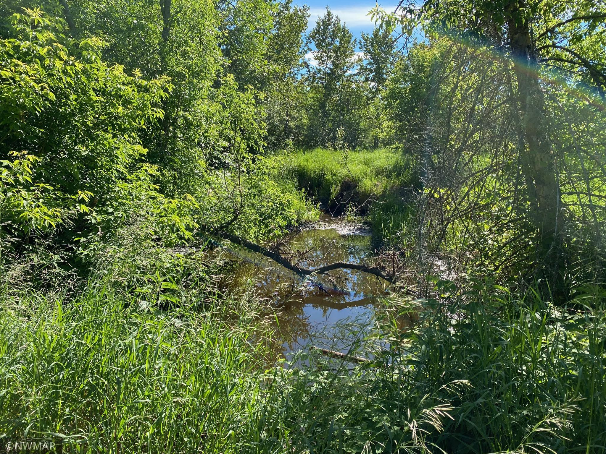 19796 Dogwood Road NE, Kelliher, MN 56650 (MLS 6007930) CENTURY 21