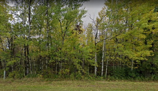 Photo for 64xx Bemidji Avenue N, Bemidji, MN 56601 - Listing #6398937 64xx Bemidji Avenue N, Bemidji, MN 56601