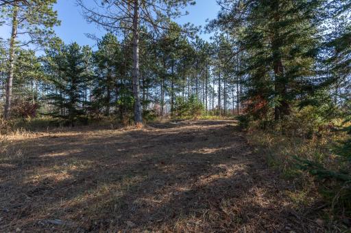 TBD Tract 4th Street NW, Backus, MN 56435