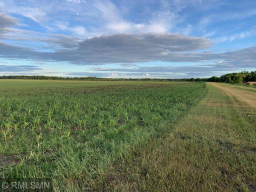 38335 410th Avenue, Aitkin, MN 56431