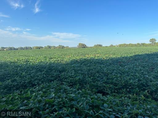 xxxx W 265Th, Farmington, MN 55024