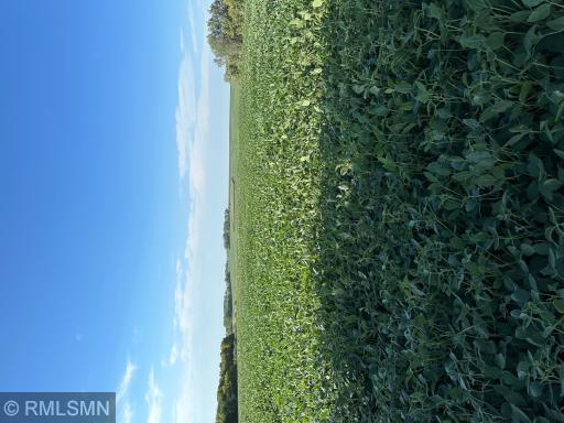 xxxx W 265Th, Farmington, MN 55024