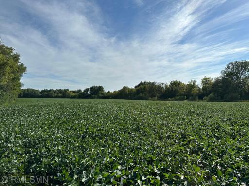 xxxx W 265Th, Farmington, MN 55024