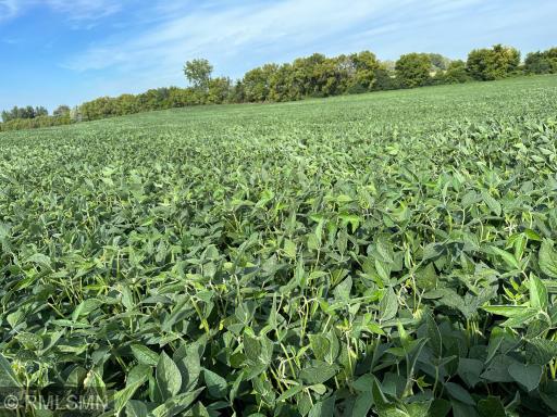 xxxx W 265Th, Farmington, MN 55024