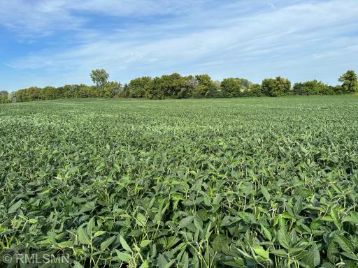 xxxx W 265Th, Farmington, MN 55024