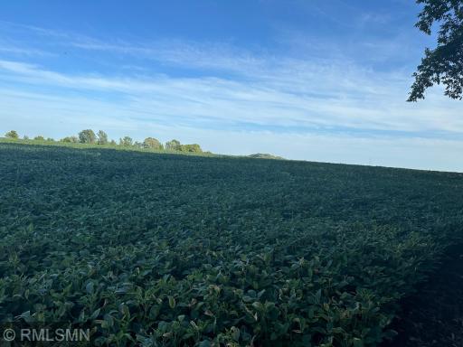 xxxx W 265Th, Farmington, MN 55024