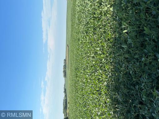 xxxx W 265Th, Farmington, MN 55024