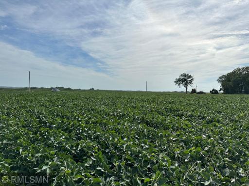 xxxx W 265Th, Farmington, MN 55024