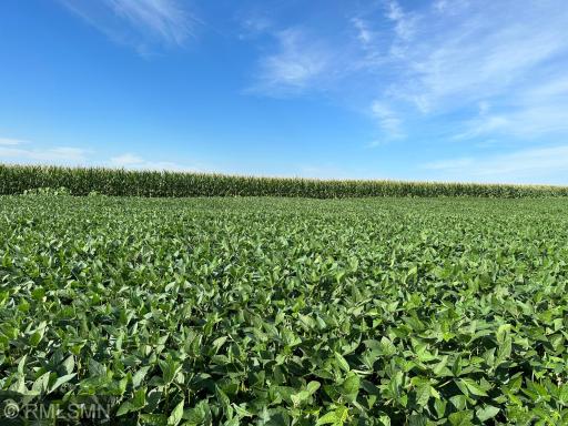 xxxx W 265Th, Farmington, MN 55024