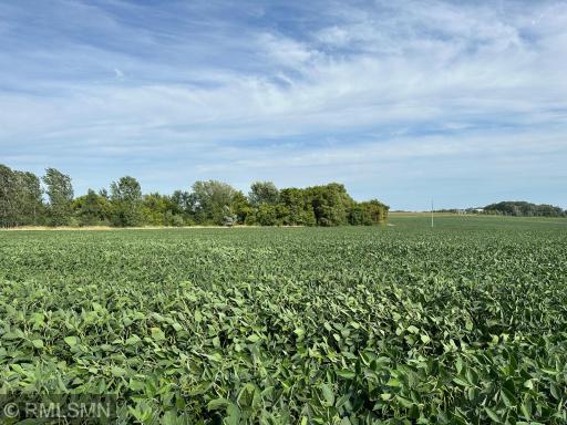 xxxx W 265Th, Farmington, MN 55024
