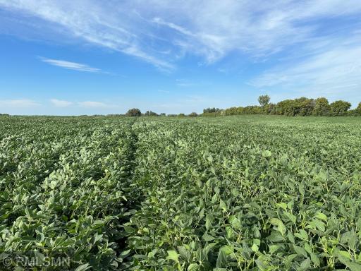 xxxx W 265Th, Farmington, MN 55024