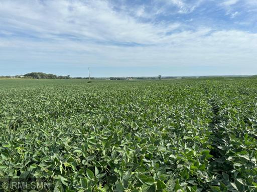xxxx W 265Th, Farmington, MN 55024