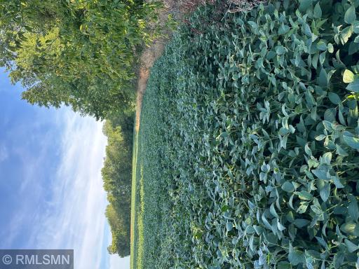 xxxx W 265Th, Farmington, MN 55024
