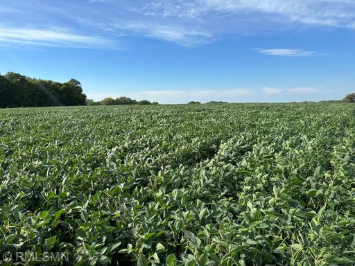 xxxx W 265Th, Farmington, MN 55024
