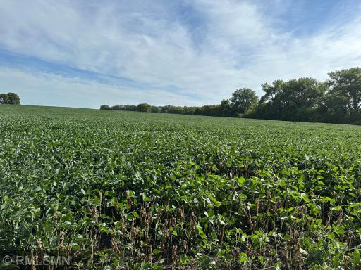 xxxx W 265Th, Farmington, MN 55024